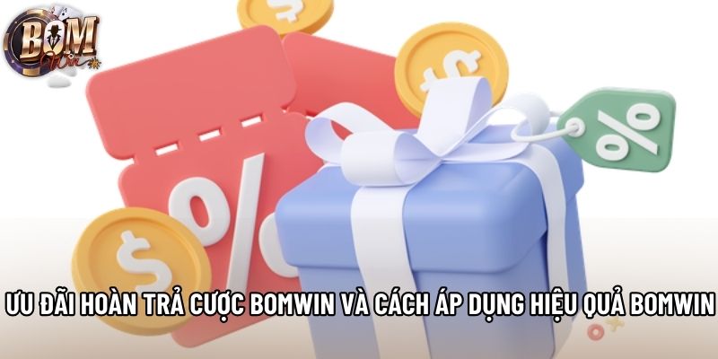 Ưu Đãi Hoàn Trả Cược Bomwin Và Cách Áp Dụng Hiệu Quả Bomwin